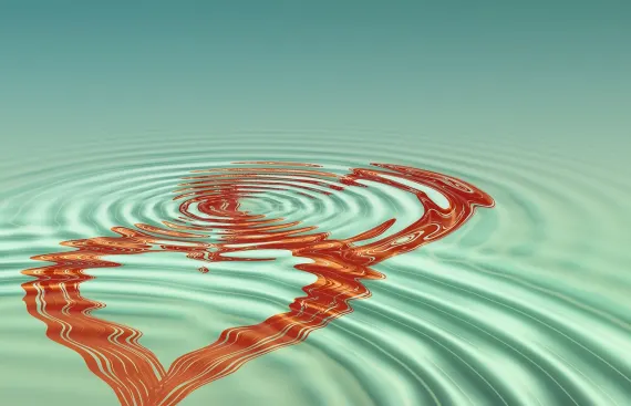 Fortune Kasino Support